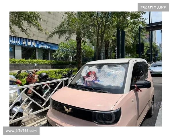 一季度小型电动汽车究竟有多疯狂? 一季度小型电动汽车究竟有多疯狂?
